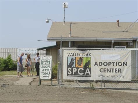 Visalia spca - Valley Oak SPCA | 68 followers on LinkedIn. Valley Oak SPCA, established in 1991, is a 501(c)(3) non-profit corporation which operates a No-Kill Pet Adoption Center and Low-Cost Spay/Neuter Clinic.